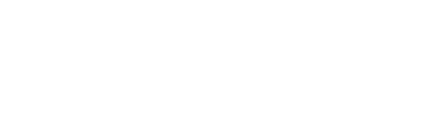 SETCAR logo web